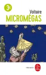 Micromgas